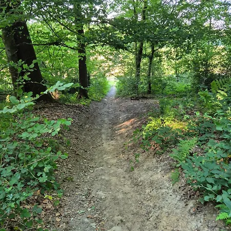 Gasthof De Camille A Gerpinnes